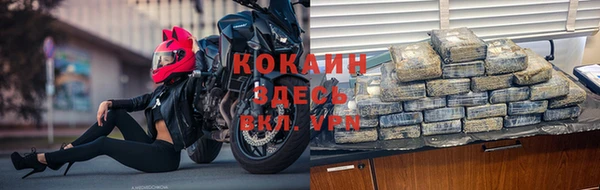 гидра Володарск
