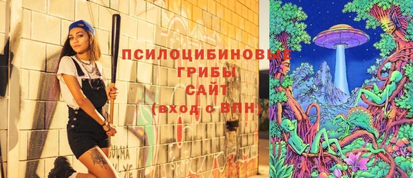 соль ск Волосово