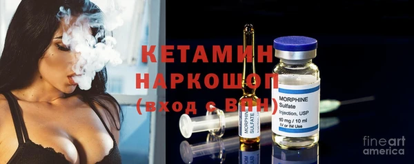 гидра Володарск