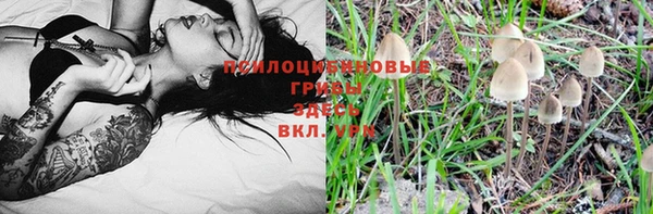 соль ск Волосово
