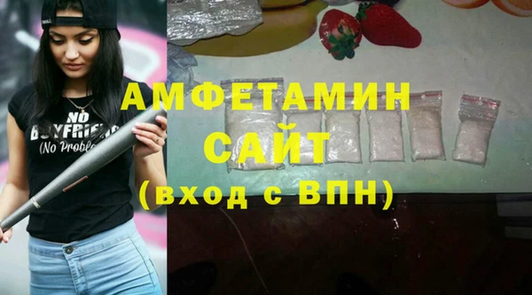 гидра Володарск