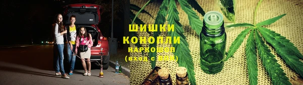 соль ск Волосово